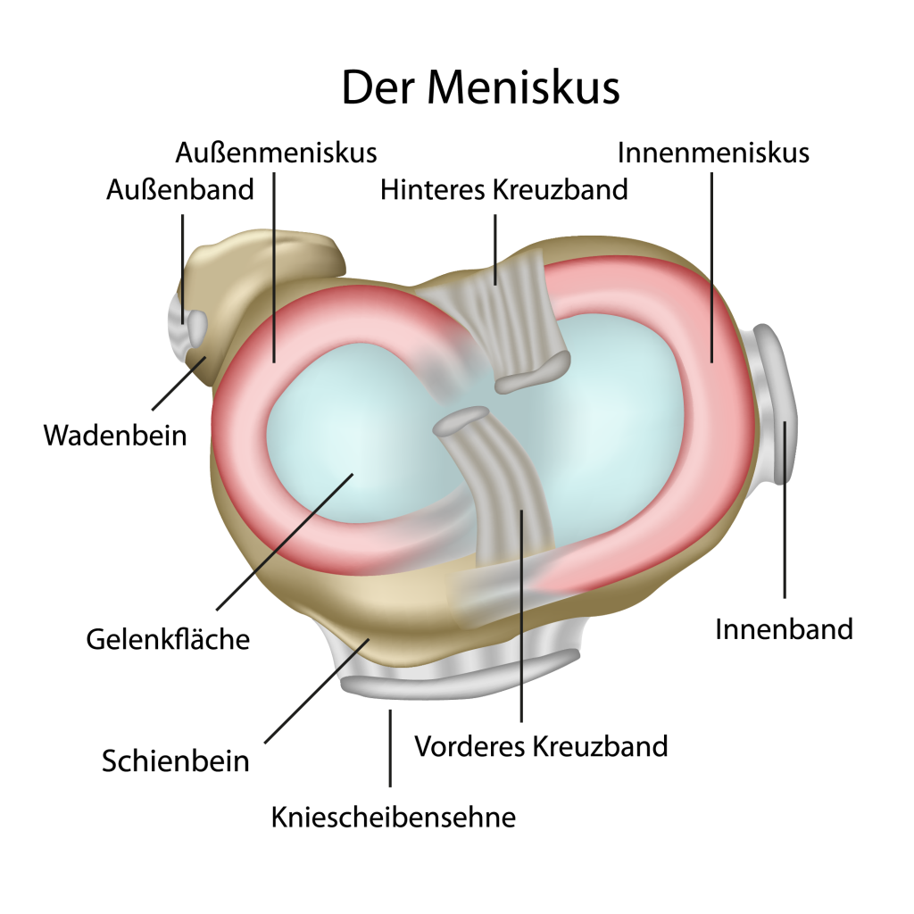 Außenminiskus und Innenminiskus
